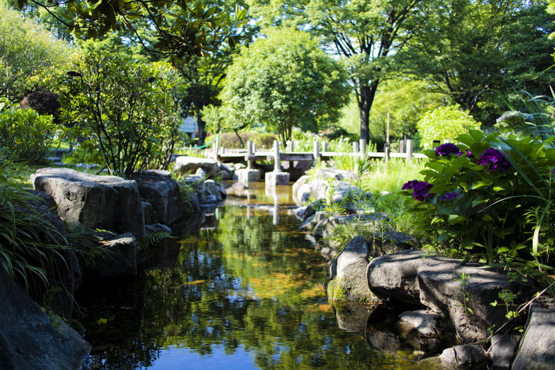 荒子川公園の日本庭園