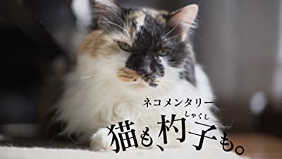 ネコメンタリー　猫も、杓子も。(NHKオンデマンド)